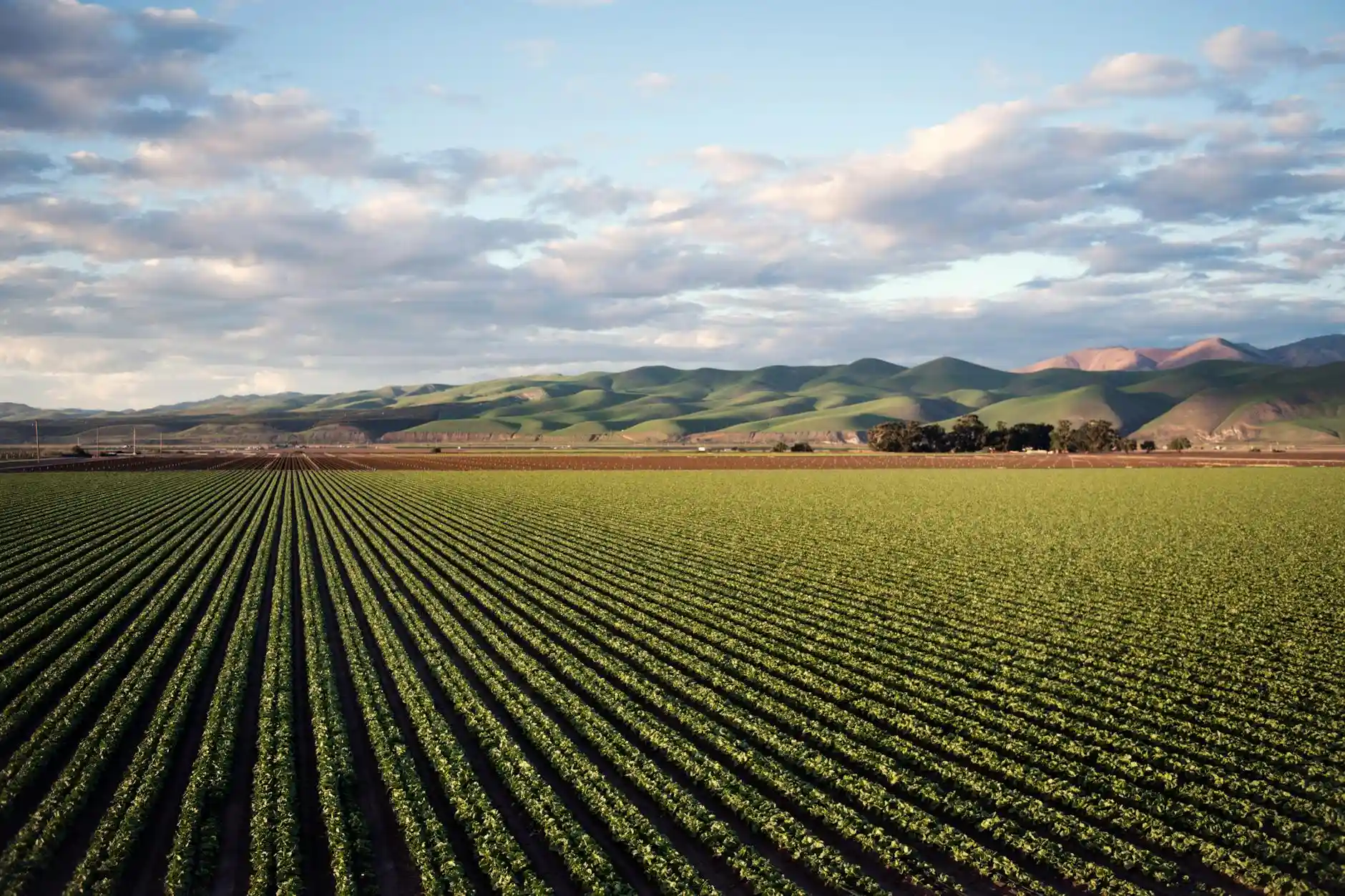 <a href="https://www.pexels.com/photo/photo-of-green-field-near-mountains-974314/">Photo by Tim Mossholder on Pexels</a>